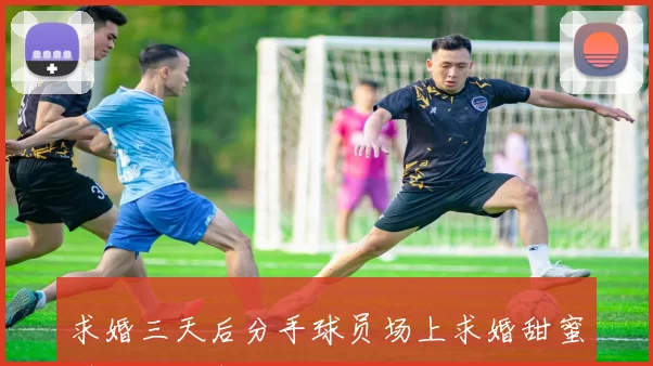 求婚三天后分手球员场上求婚甜蜜瞬间成往事
