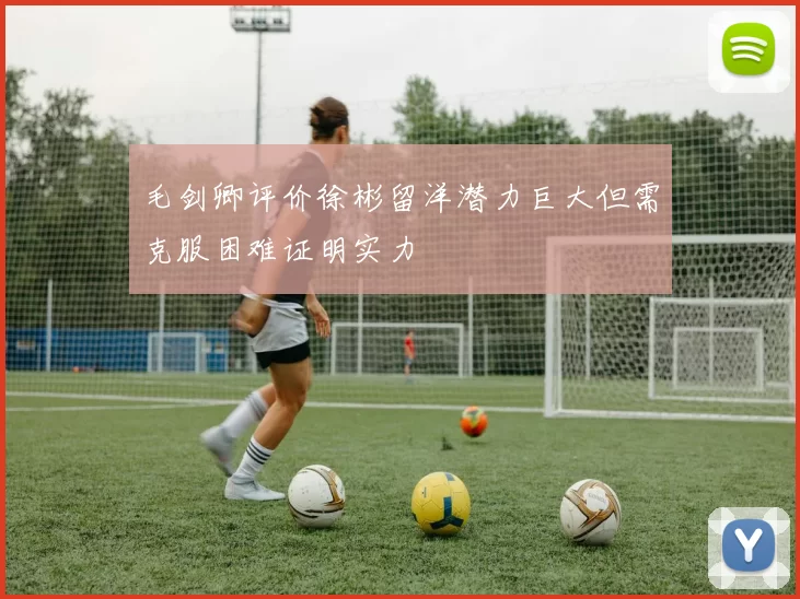 毛剑卿评价徐彬留洋潜力巨大但需克服困难证明实力