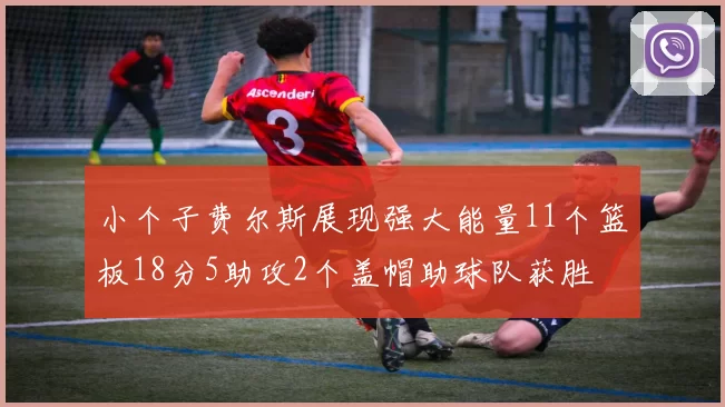 小个子费尔斯展现强大能量11个篮板18分5助攻2个盖帽助球队获胜